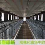 規(guī)?；B(yǎng)豬場(chǎng)設(shè)備終末消毒方法(安全程序)