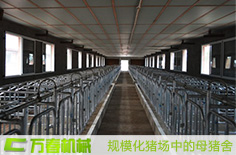 規(guī)?；B(yǎng)豬場(chǎng)設(shè)備終末消毒方法(安全程序)